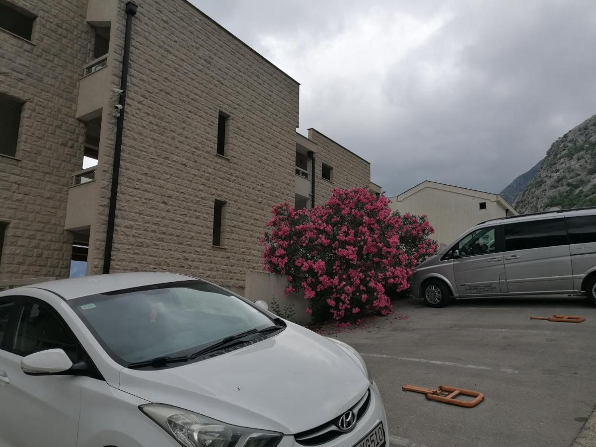 Villa Milla Kotor Kültér fotó